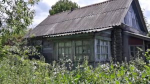 Дорога домой