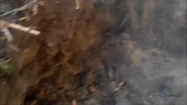 Копнуть и найти с Террой 305 смотреть онлайн