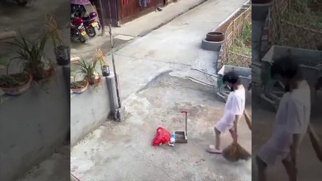 А где веник!? Обкурилась что ли!?) смотреть онлайн