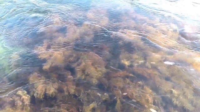 Осень в Крыму 2015 смотреть онлайн