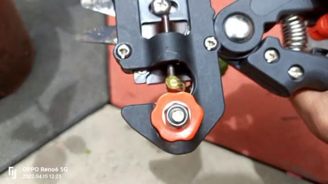 Omega Grafting | Hibiscus Omega Graft | Online Grafting Tool | How To Do Omega Grafting