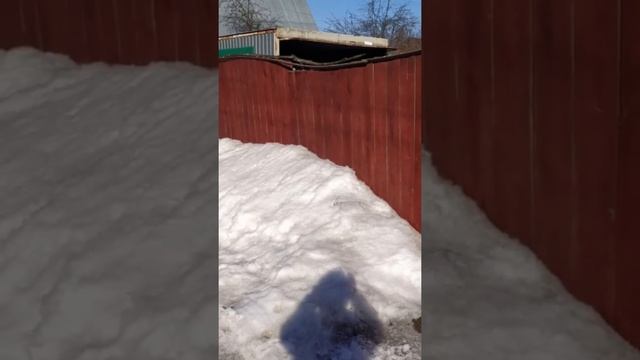 Совершенно иной вид дачного участка смотреть онлайн