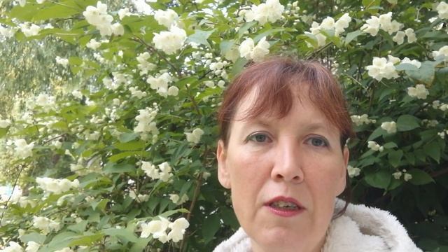 Проект "Год моей жизни в стихах и впечатлениях" День 38 смотреть онлайн