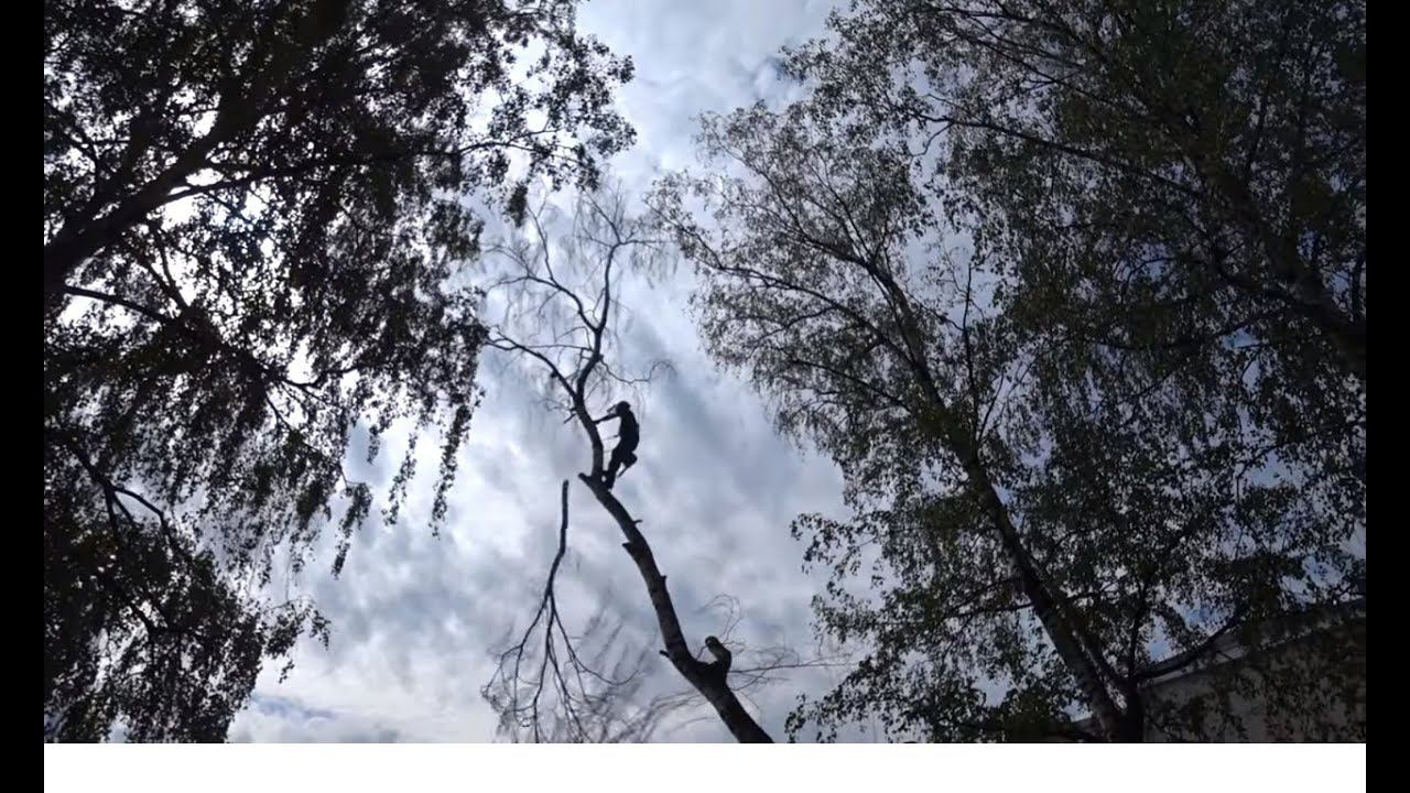 ЭКСТРИМАЛЬНО СПИЛИЛИ ДЕРЕВЬЯ / ПОГРУЗИЛИ В КАМАЗ И Я УВЁЗ ДРОВА НА БАНЮ смотреть онлайн