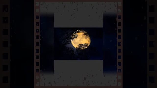 Одиночка луна 🌙 смотреть онлайн