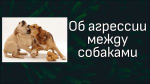 Разбор видео Антуана Наджаряна.