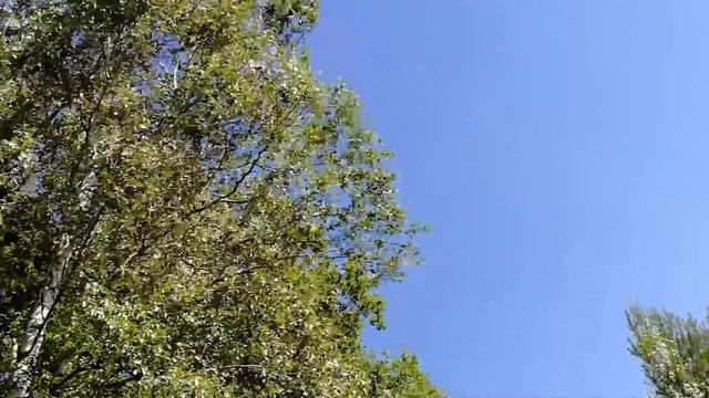 2 июля 2018 год. Дача. Красота! смотреть онлайн