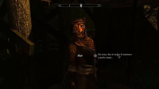 Skyrim: Moonpath to Elsweir ITA #1 Le Tigri Dondolano!!!!