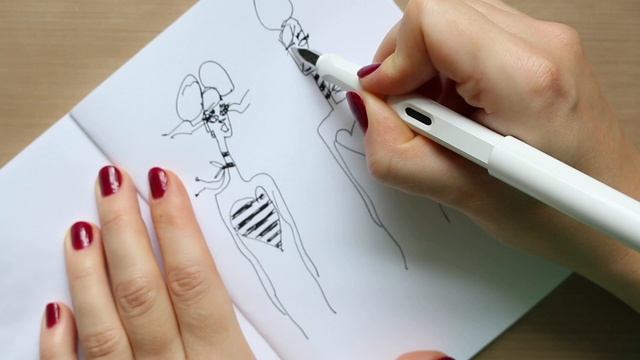 Lamy Safari Fountain Pen | Fine vs Extra Fine Nib смотреть онлайн