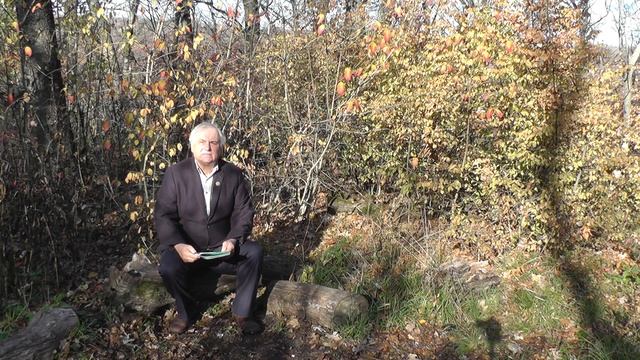 Лета бабьего деньки (стихотворение В. Гаазова) смотреть онлайн