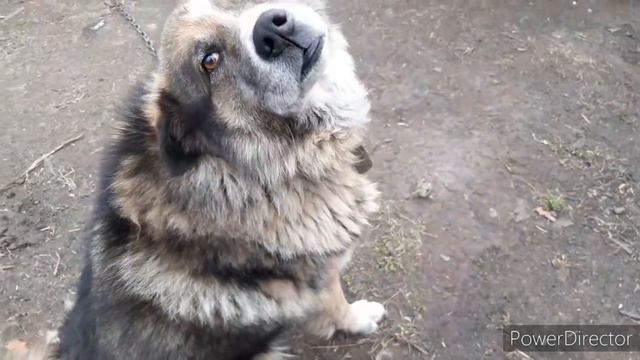 Опять ремонт 🤔 с чего началось утро 😊 Семья в деревне!!! смотреть онлайн