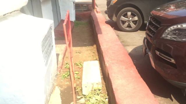 Универсальные ключи для домофонов Vizit Eltis Proel