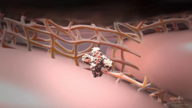 10 способов улучшить внешность за 2 минуты (Для мужчин) смотреть онлайн