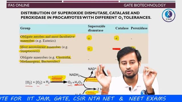 Microbiology: Microbiology Growth & Nutrition смотреть онлайн