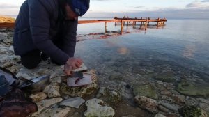 Калкан - разделка и приготовление черноморской камбалы proкухня