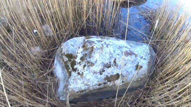 Рыбалка в Швеции.Прогулка со спиннингом на море.Открытие сезона ловли лосося на реке Mörrum. смотреть онлайн
