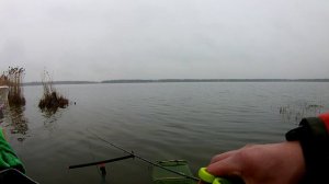 Рыбалка в Московской области. Ловля на фидер в Шатуре