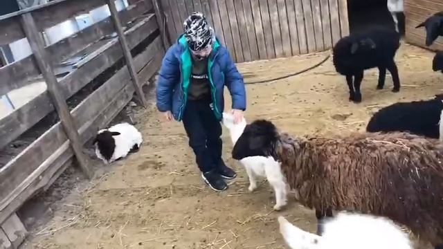 Экоферма в Подмосковье | Загородный клуб "БабинДвор" | Отдых с детьми в Подмосковье смотреть онлайн