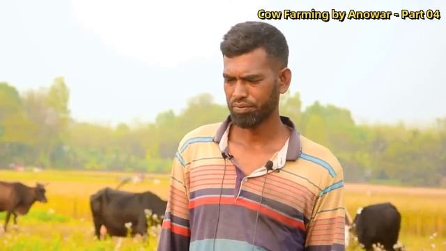 কিভাবে অসুস্থ গরুর শক্তি ফিরিয়ে আনা যায় смотреть онлайн