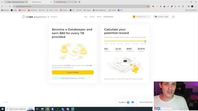 Storage Node Earnings are INSANE | DeNet Setup Guide смотреть онлайн