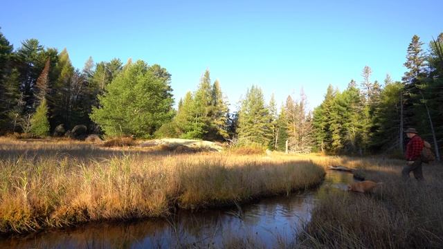 A Walk in the Woods | Thanksgiving at the Outpost смотреть онлайн