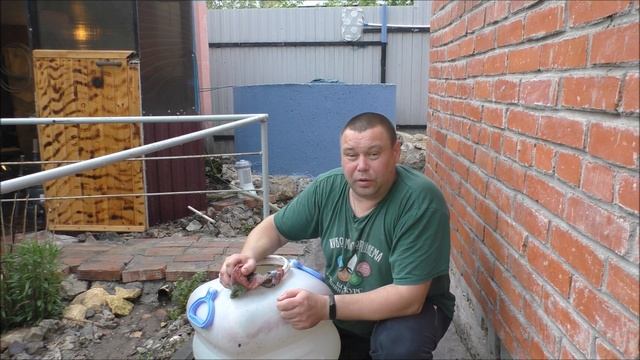 Кулинарные шедевры