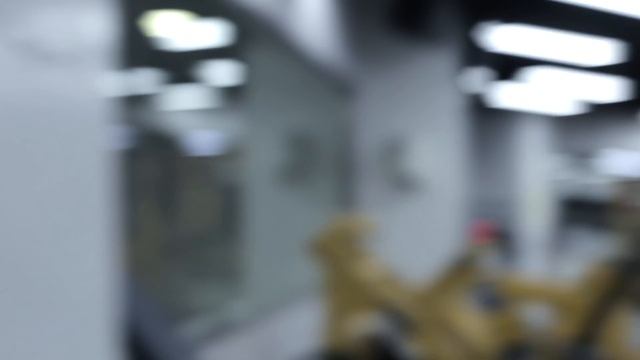 Frank Yang trains legs with Frank Yang (What I talk about when I talk about lifting) смотреть онлайн