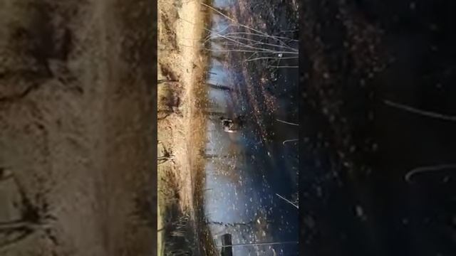 Рыбалка граблями смотреть онлайн