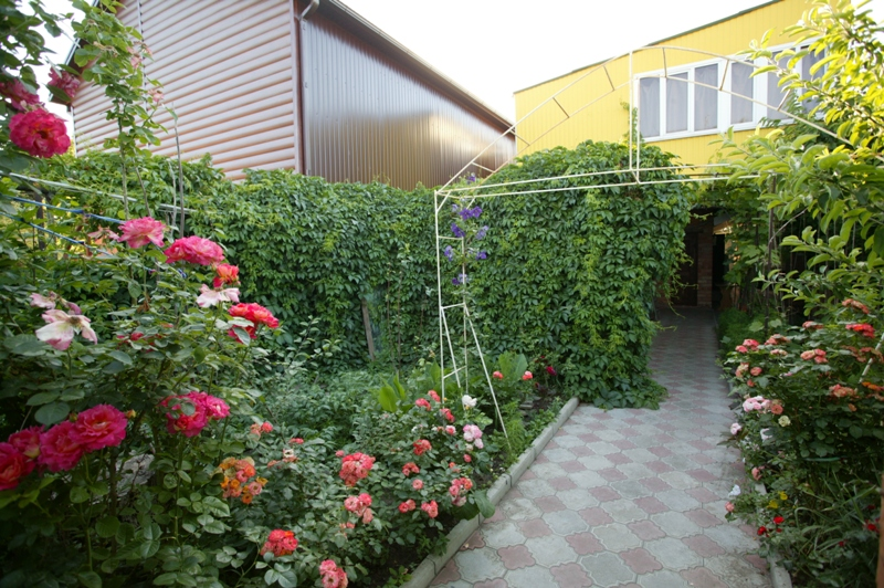 Отдых в Ейске частный сектор недорого. Недорогие гостиницы Ейска. «Морская, 220» ГОСТЕВОЙ ДОМ