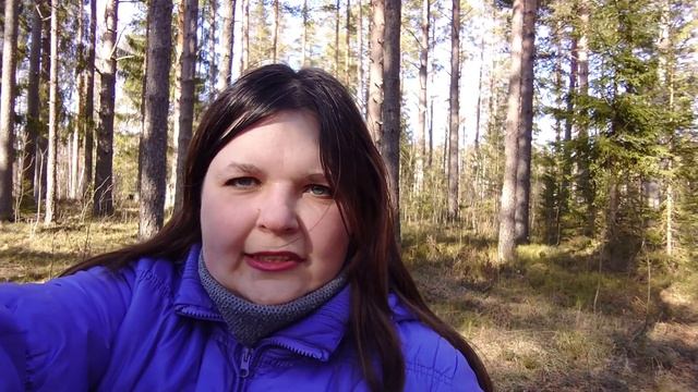 Как сортировать мусор в домашних условиях. Отдаем мусор на съедение жукам и червякам! смотреть онлайн