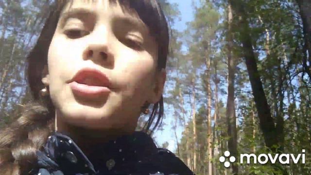 Идём гулять в лес во время короновируса. смотреть онлайн