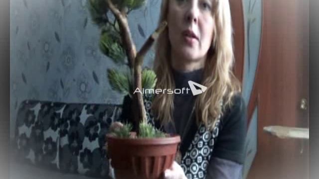 БОНСАЙ из МУСОРА своими руками/DIY смотреть онлайн