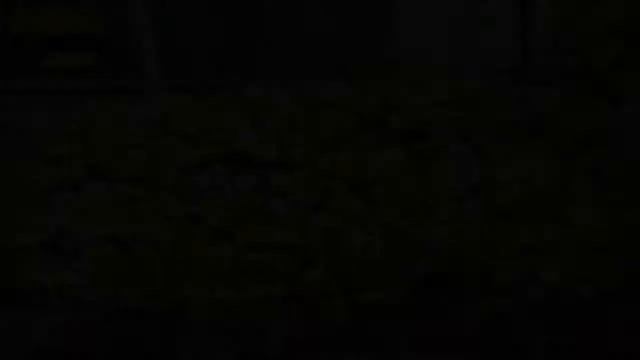 калибрахоа семена купить на алиэкспресс!!!!! смотреть онлайн