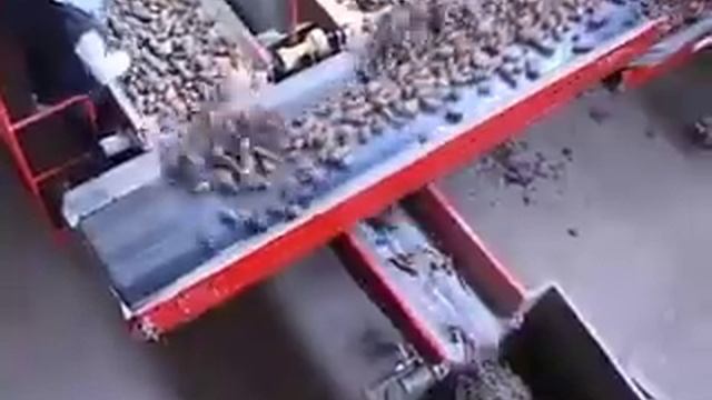 Закладка на хранение смотреть онлайн