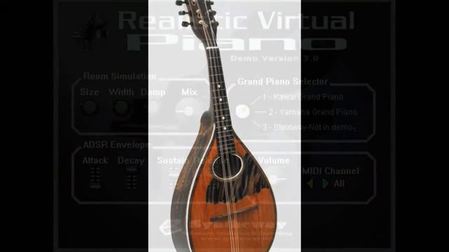 Novelty Accordion (Erik Frank) Harmodion Accordion, Mandolin, Piano VST VST3 Audio Unit 32/64 bit смотреть онлайн