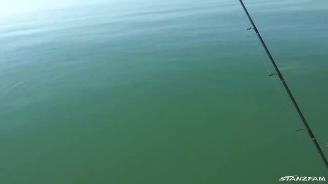 Shark ATTACKED the Motor! Big Permit in Gulf of Mexico! смотреть онлайн