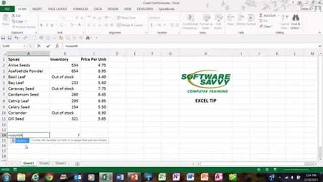 Microsoft Excel Training Orlando | 407-880-8447 | Excel Training in Orlando | Software Savvy смотреть онлайн