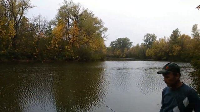 20151007осенняя поезка на рыбалку на Каширу смотреть онлайн