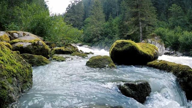 Bigfoot Habituation! [EP-109] смотреть онлайн