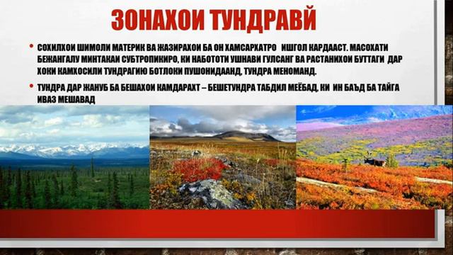 зонахои табий Амрикои Шимолий