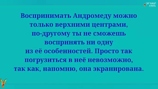 Андромеда спиральная галактика 🌀 #Сорадение #Космос #Андромедианцы смотреть онлайн