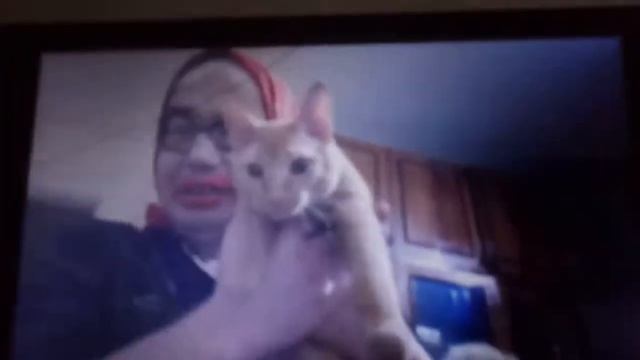 Игоооорь, бааааарсик！ коры? смотреть онлайн