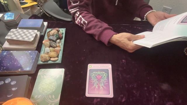 ?ORACLE HERBAL HEALING READ. (Wormwood herb) DIGESTION! смотреть онлайн