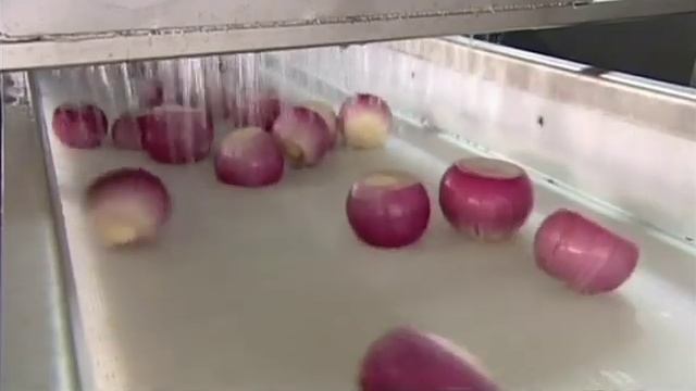 Репчатый лук смотреть онлайн