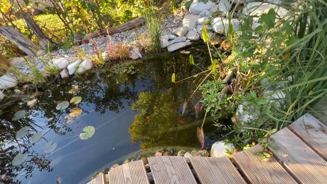 Химтрейлы над свободным небом Франции. Физика, которую канал Мечта Летать рекомендует учить в юност смотреть онлайн