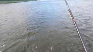 РЫБАЛКА НА ТОМИ, НАКОНЕЦТО ВЫБРАЛИСЬ ПОЛОВИТЬ ХАРИУСА, САЛТЫМАКОВО, ЛОВИМ НА УДОЧКУ С ПОПЛАВКОМ.