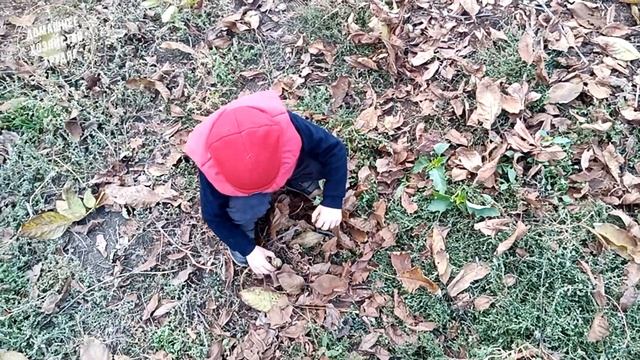 ///Бизнес на Грецких Орехах!!/// смотреть онлайн