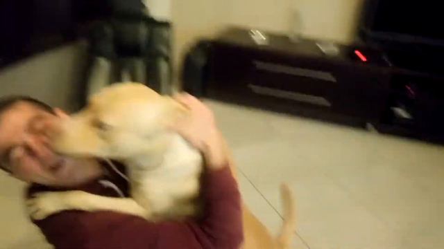 Встреча с хозяином смотреть онлайн