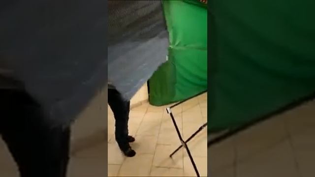 Стол складной для торговли, дачи, пикников смотреть онлайн