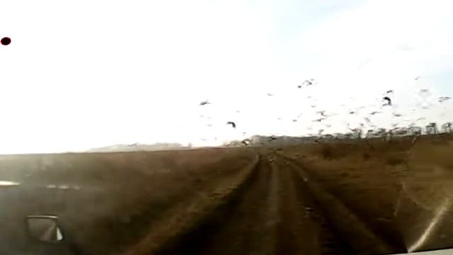 Стая голубей на поле школьного аэродрома Одессы смотреть онлайн